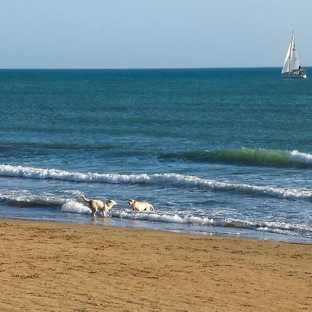 Appartamento Cozy In With Wifi *